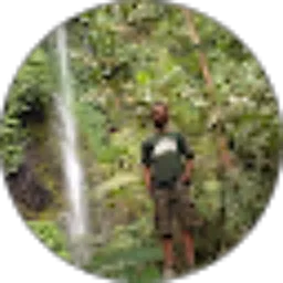 Review From green croco