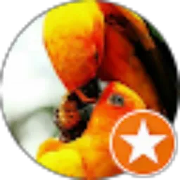 Review From Jastro 702