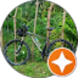 Review From Candra Widiarso