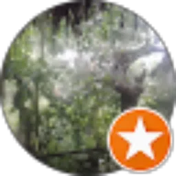 Review From Revolusi Kegelapan
