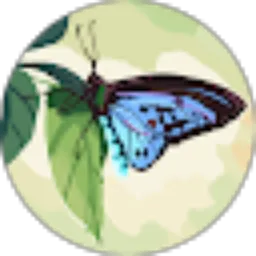 Review From Mu'ti Ima