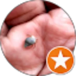 Review From Evans Khaliq