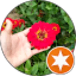 Review From Victoria Hawkins