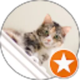 Review From Currently Cat