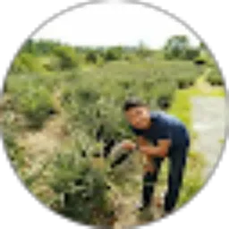 Review From Ronny Samosir