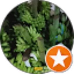 Review From Banana House