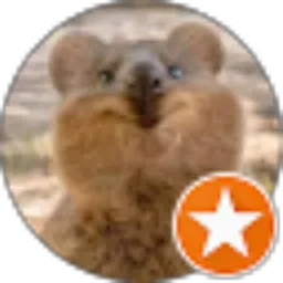 Review From louai