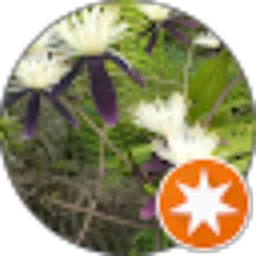 Review From Universe Gift