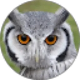 Review From YAP channel