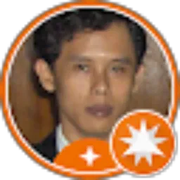 Review From Budi Sardjono