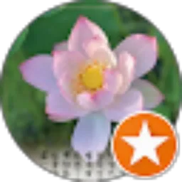 Review From Mag