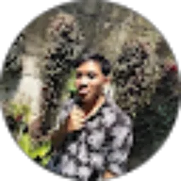 Review From Wahyu Cahyono
