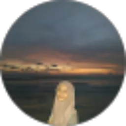 Review From Diandmei Widya