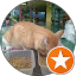 Review From haryanto yayan