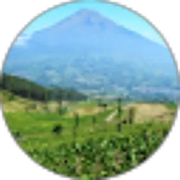 Review From Roch Sugiyarto