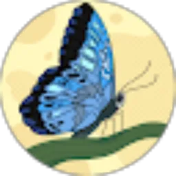 Review From FitriRehang