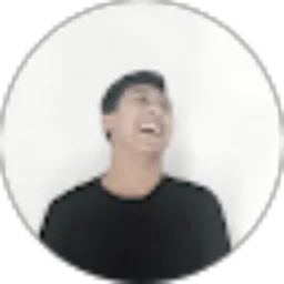 Review From Wisnu Dian Permana