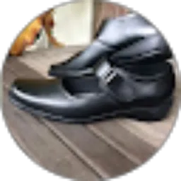 Review From Sepatu Paskibra