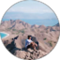 Review From Fiiin
