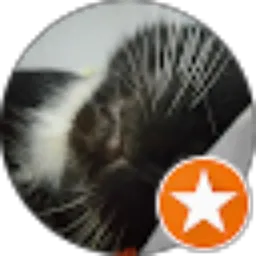 Review From ALX