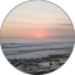 Review From User 87