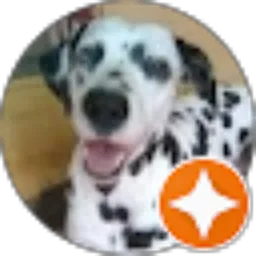 Review From GREEZ VJOLLCA