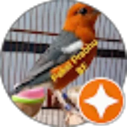 Review From Paksi Prabhu BF