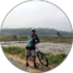 Review From Aldo Ivan saputra