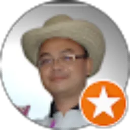Review From Totok Widyanto