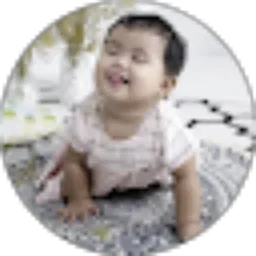 Review From RIDZAL HAFID