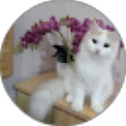Review From Noni Angelia