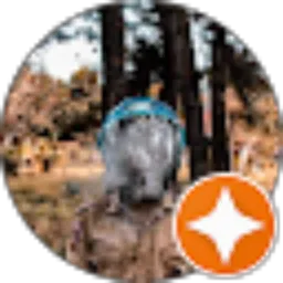 Review From Refgi Yaldi