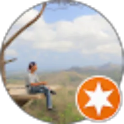 Review From Nikolaus Adven K
