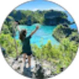 Review From andretha wariori