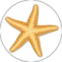 Review From AYZ TYA