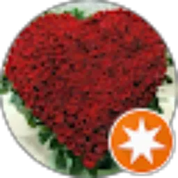 Review From Junaedi Edi