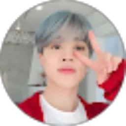 Review From Park Jimin