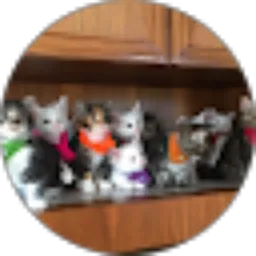 Review From Love Cats