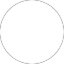 Review From Diana Viola