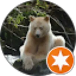 Review From Andre Grain