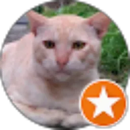 Review From Vin