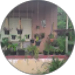 Review From Sae Woko212