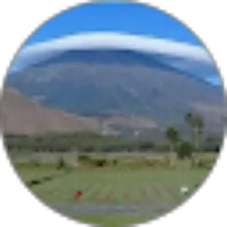 Review From tri yuliani