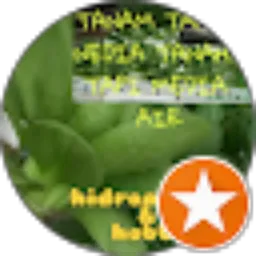 Review From Muhammad Ridwan Green