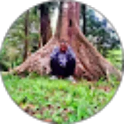 Review From Fauzan M.a