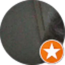 Review From ALT PROJECTS