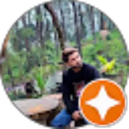 Review From Ari Fransstanu