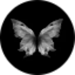 Review From dachriafrz