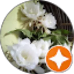 Review From Cie Su