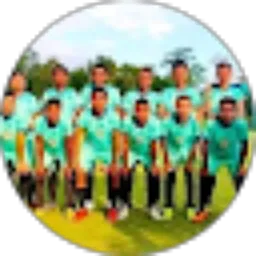 Review From Teofilus juru Mulia